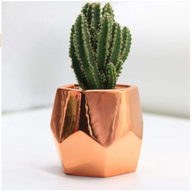 Load image into Gallery viewer, Cactus Plant Pot