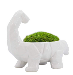 Fun Animal Planter